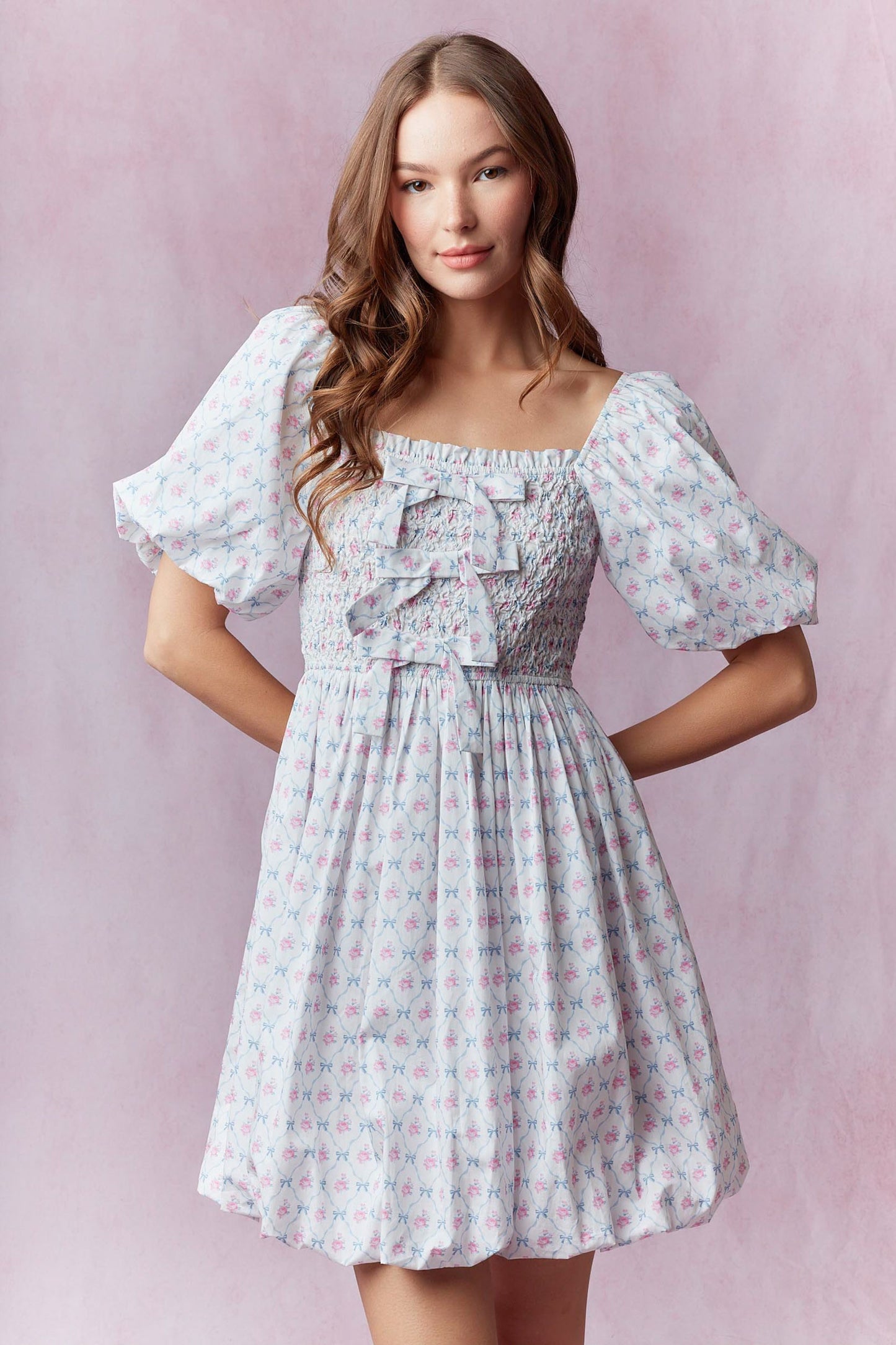 Roses and Bows Mini Dress