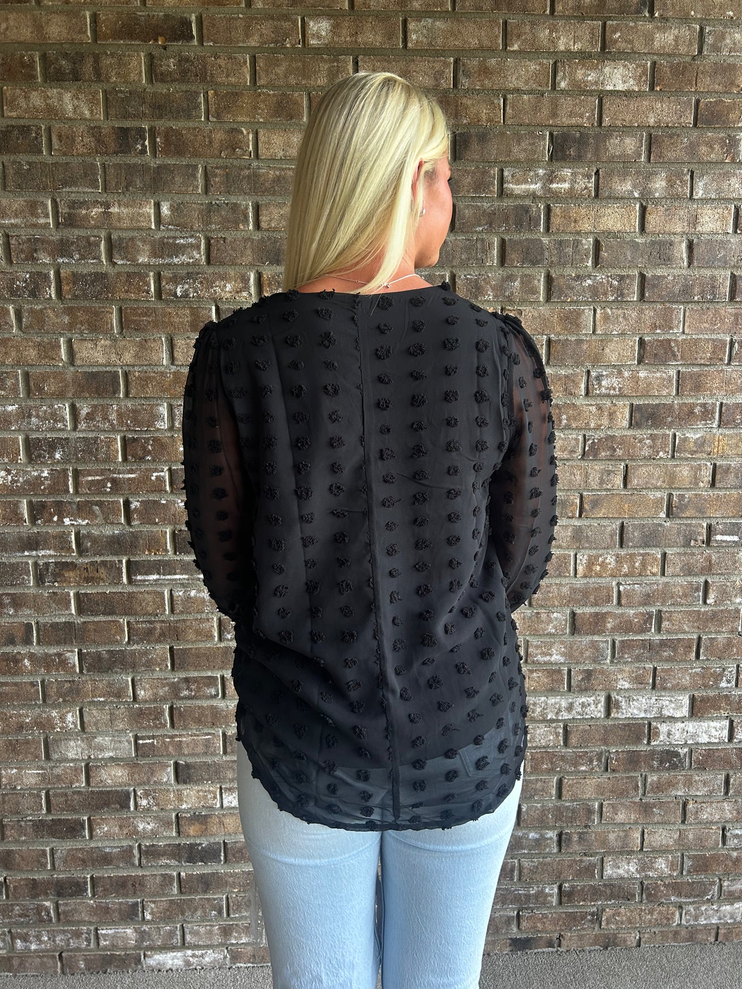 Swiss Dot Balloon Sleeve V-Neck Blouse